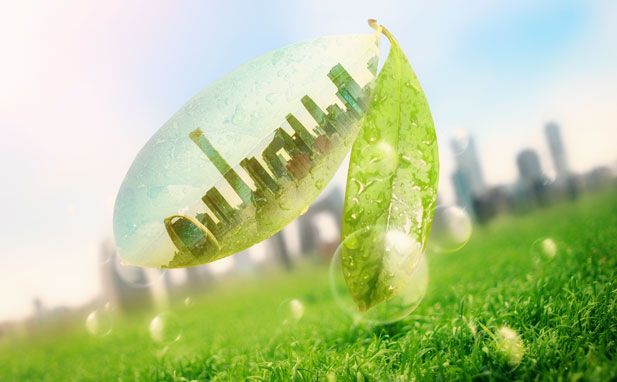 ˫̼�ۺ��ϵƽ̨����ƻ�